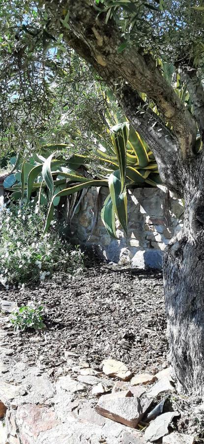הוילה פנייה גרסיה Casa Do Alecrim מראה חיצוני תמונה