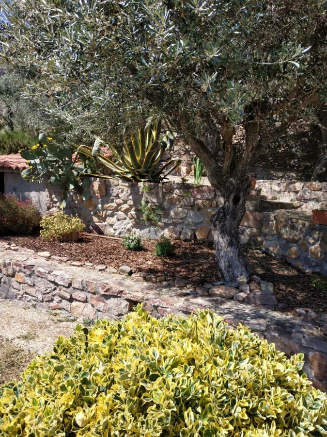 הוילה פנייה גרסיה Casa Do Alecrim מראה חיצוני תמונה