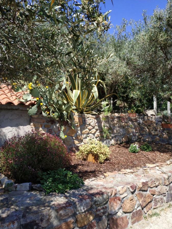 הוילה פנייה גרסיה Casa Do Alecrim מראה חיצוני תמונה